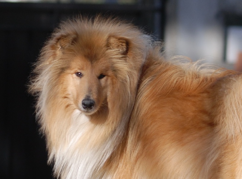Fabulous girl of Wolf's River